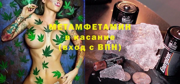 прущие грибы Лихославль