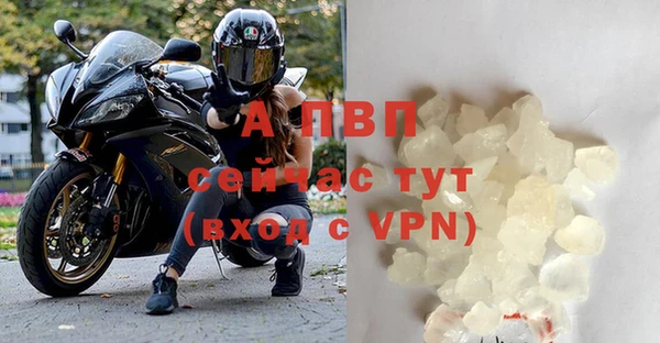 прущие грибы Лихославль