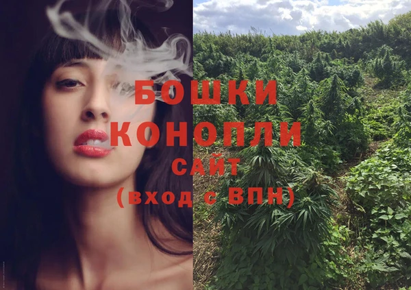 прущие грибы Лихославль