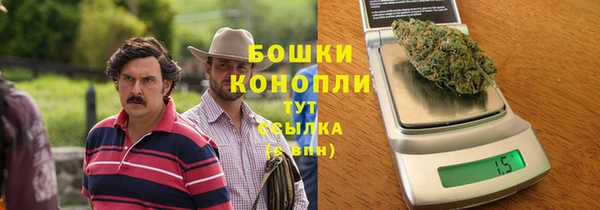 прущие грибы Лихославль