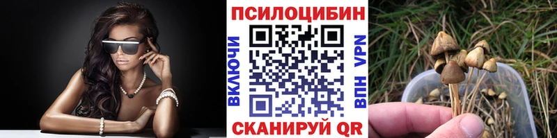 Псилоцибиновые грибы Psilocybine cubensis купить наркоту Яблоновский